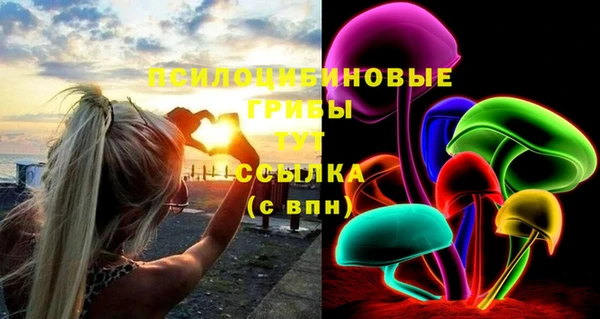 дмт Зеленокумск