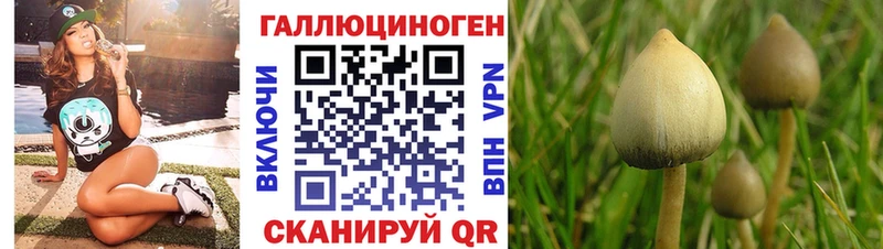 Галлюциногенные грибы GOLDEN TEACHER  Купить закладки  Тетюши 